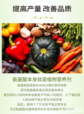 微生物有机肥与氨基酸肥料的协同创新 复合氨基酸原粉、水溶肥及叶面肥的生物有机肥料研发