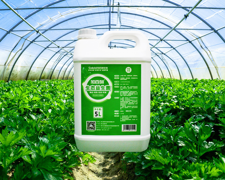 微生物肥料 农业绿色发展的新引擎