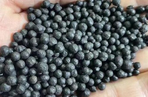 复合微生物肥料与生物有机肥料的研发 绿色农业的双引擎