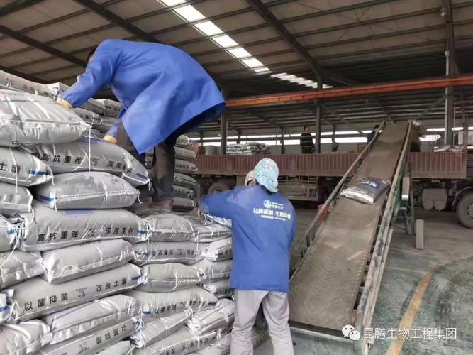 昆腾多菌宝 复合微生物菌剂如何助力农业增产增收